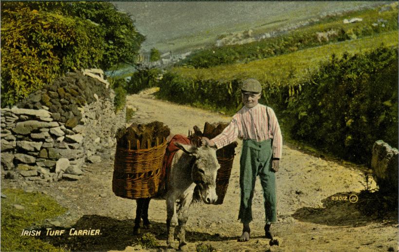 GenlTurfCa.jpg 104KB