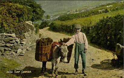 GenlTurfCa_m.jpg 34KB