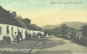 MitcMulber_m.jpg 14KB