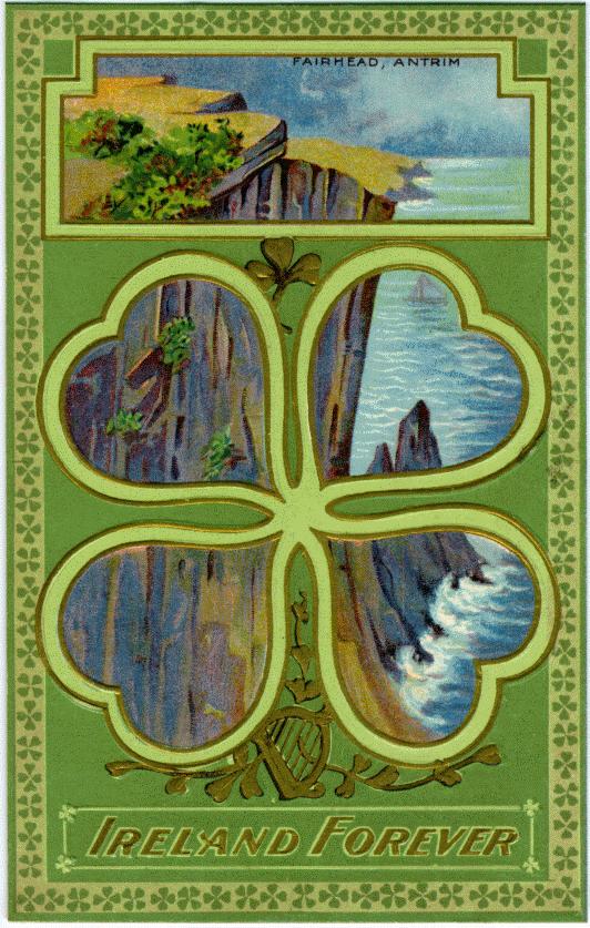 PatrIreFor.jpg   108,292 bytes  837 H  532 W  color illust.